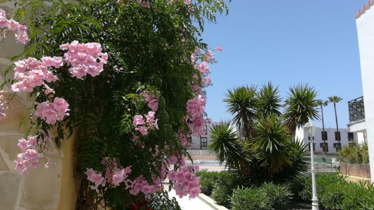 Tenerife Altamar Paradise プラヤ・デ・ラス・アメリカス エクステリア 写真